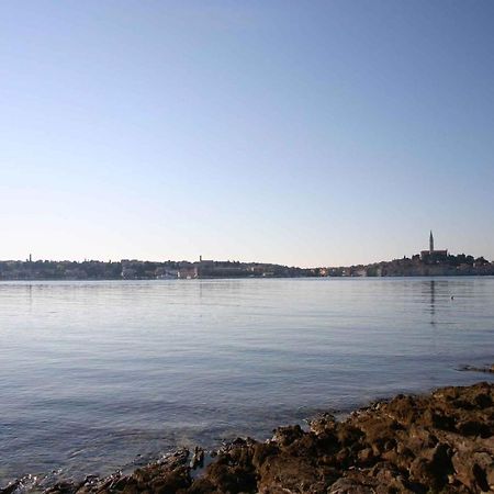 Apartment In Rovinj/Istrien 11533 ภายนอก รูปภาพ