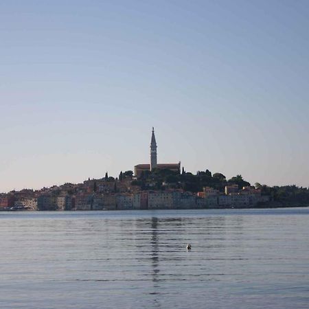 Apartment In Rovinj/Istrien 11533 ภายนอก รูปภาพ